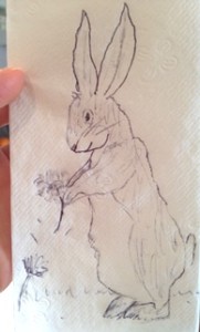 Critter napkins by Shannon 5