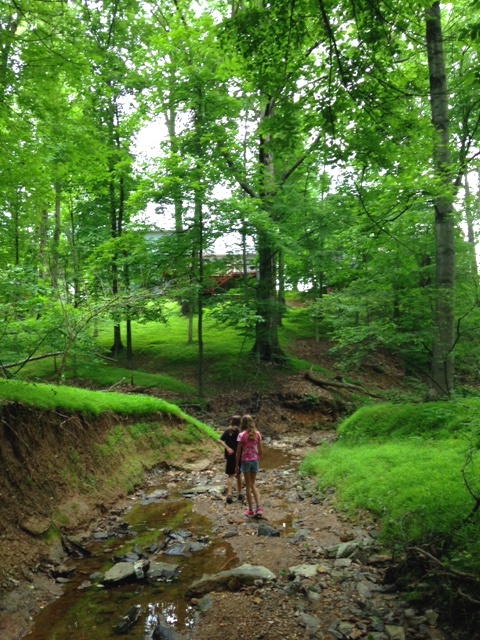 Walking in the creek photo by shannon mayhew